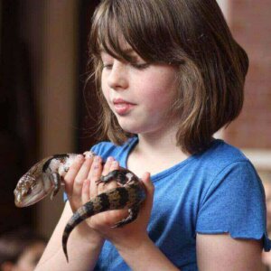 Animaltastic