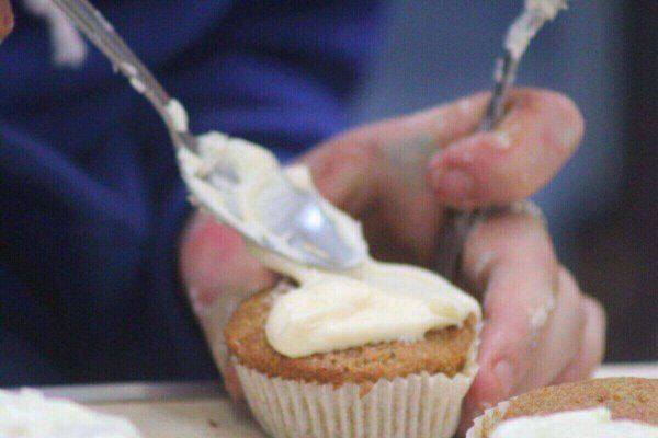 Cupcake Heaven