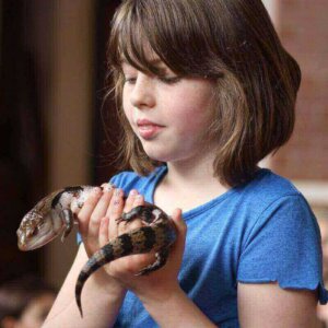 Animaltastic