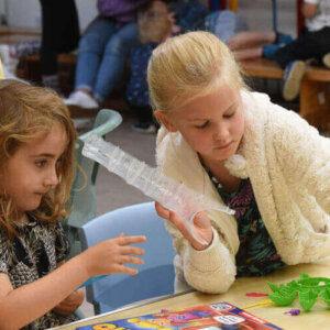 Imagineering
